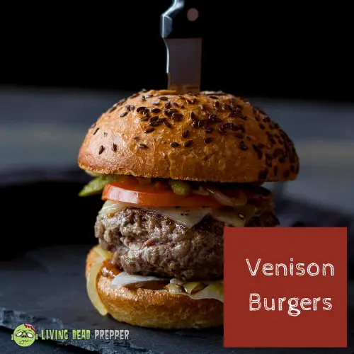 Venision Burger