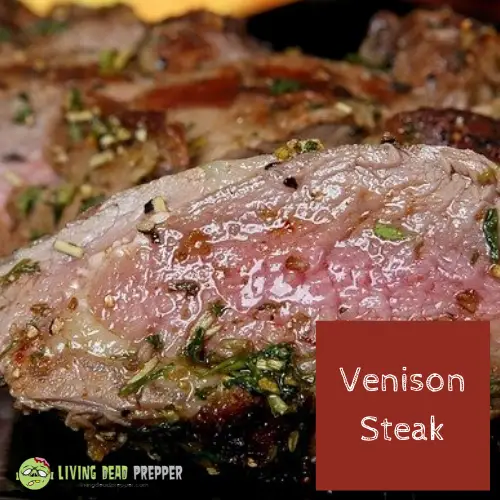 Venision Steak